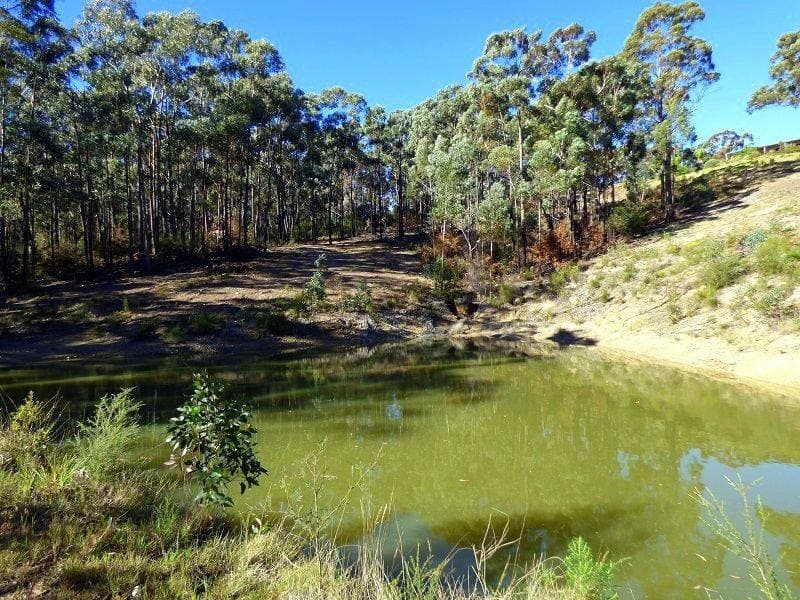 73 Kiaka Road, Nethercote, Nethercote - Thumbnail 4