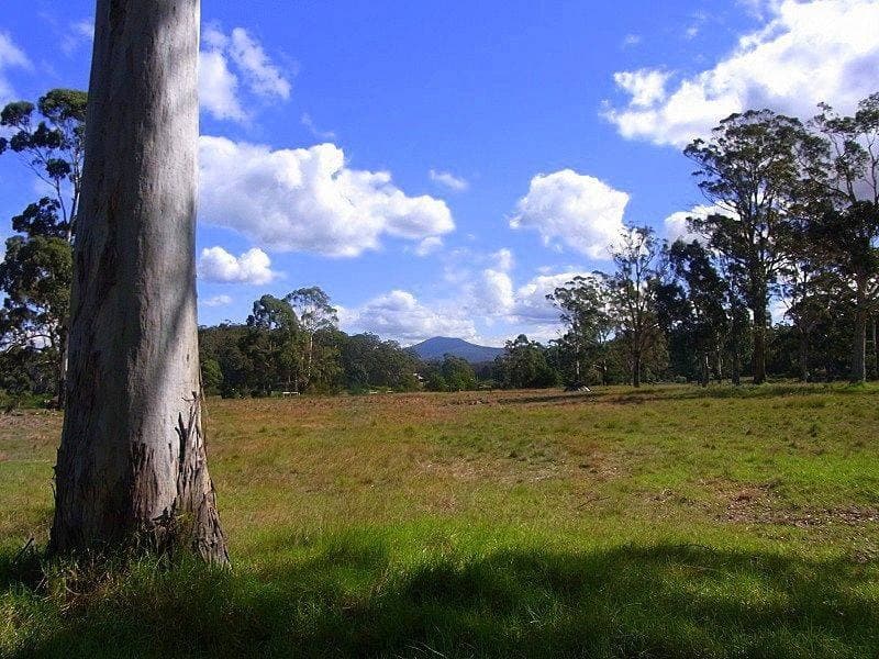 150 Jim McMahon Drive, Kiah, Kiah - Thumbnail 3