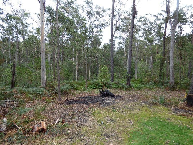 Lot 772 Mount Darragh Road, Lochiel, Lochiel - Thumbnail 2