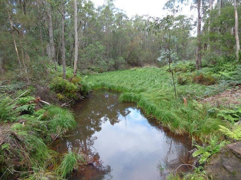 Lot 772 Mount Darragh Road, Lochiel, Lochiel - Thumbnail 3