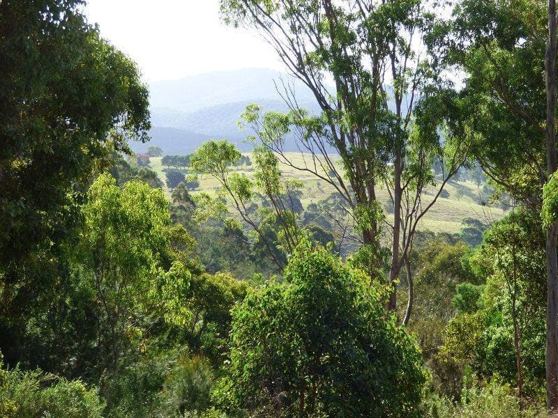 9 Bindaree Road, Lochiel, Lochiel - Thumbnail 8
