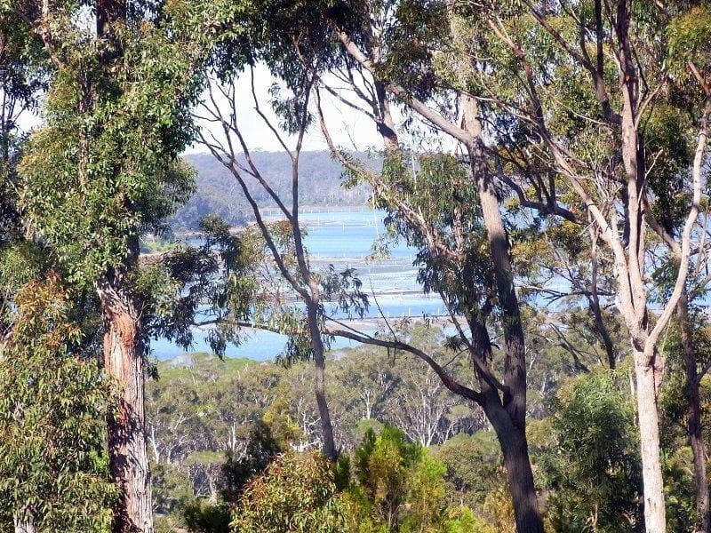 Lot 58 White Fox Road, Broadwater, Broadwater - Thumbnail 7