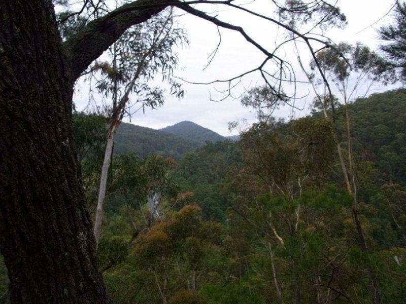 Lot 963 Mt Darragh Road, Lochiel, Lochiel - Image 1