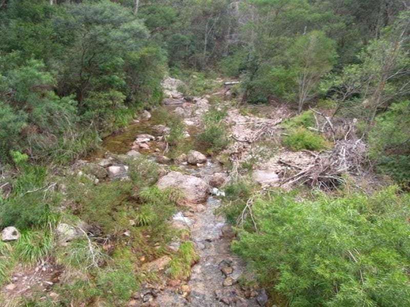 Lot 963 Mt Darragh Road, Lochiel, Lochiel - Thumbnail 2