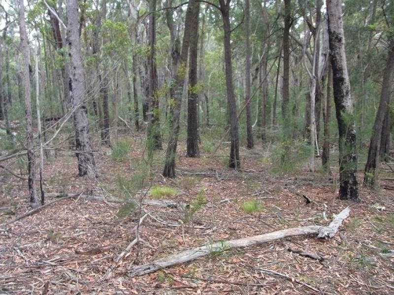 Lot 963 Mt Darragh Road, Lochiel, Lochiel - Thumbnail 3