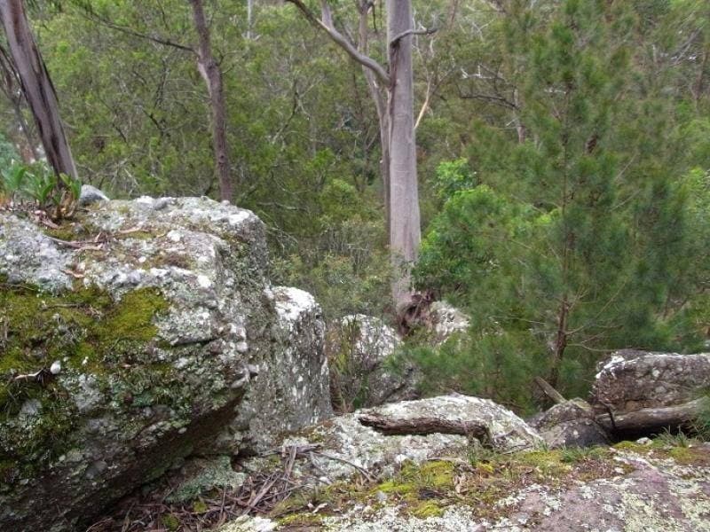 Lot 963 Mt Darragh Road, Lochiel, Lochiel - Thumbnail 4