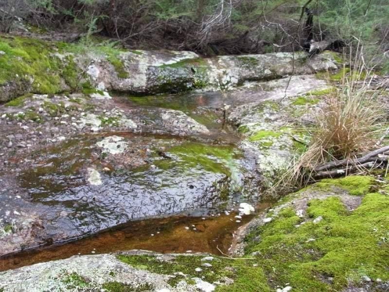 Lot 963 Mt Darragh Road, Lochiel, Lochiel - Thumbnail 5