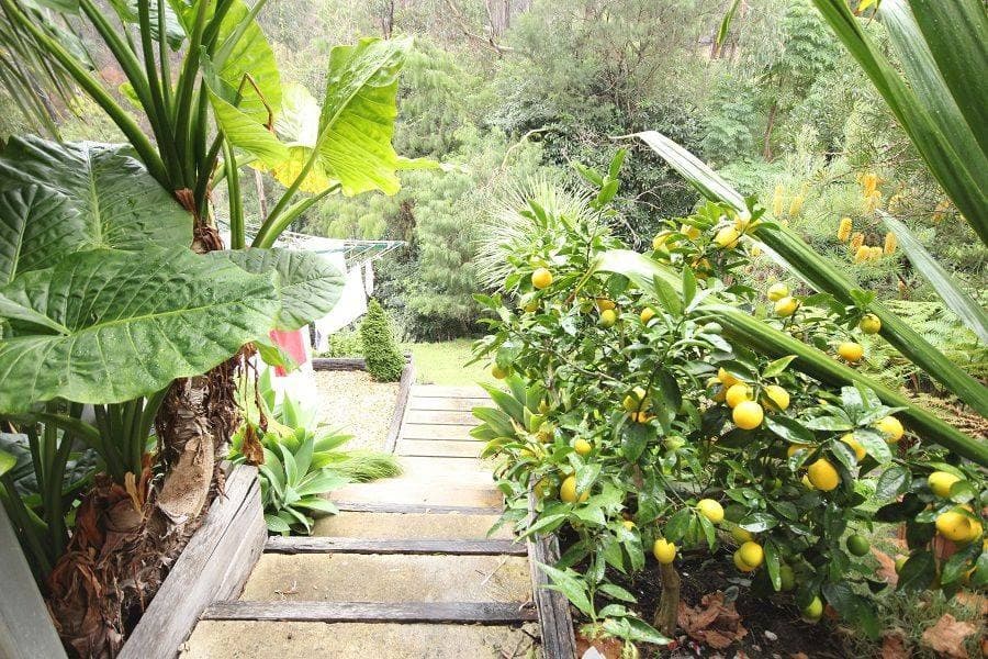 14 Bellevue Place St, Eden, Eden - Thumbnail 8