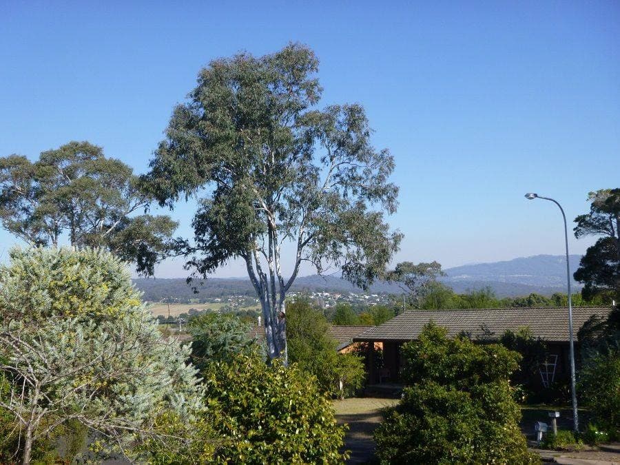 13 Idlewilde Crescent, Pambula, Pambula - Thumbnail 2