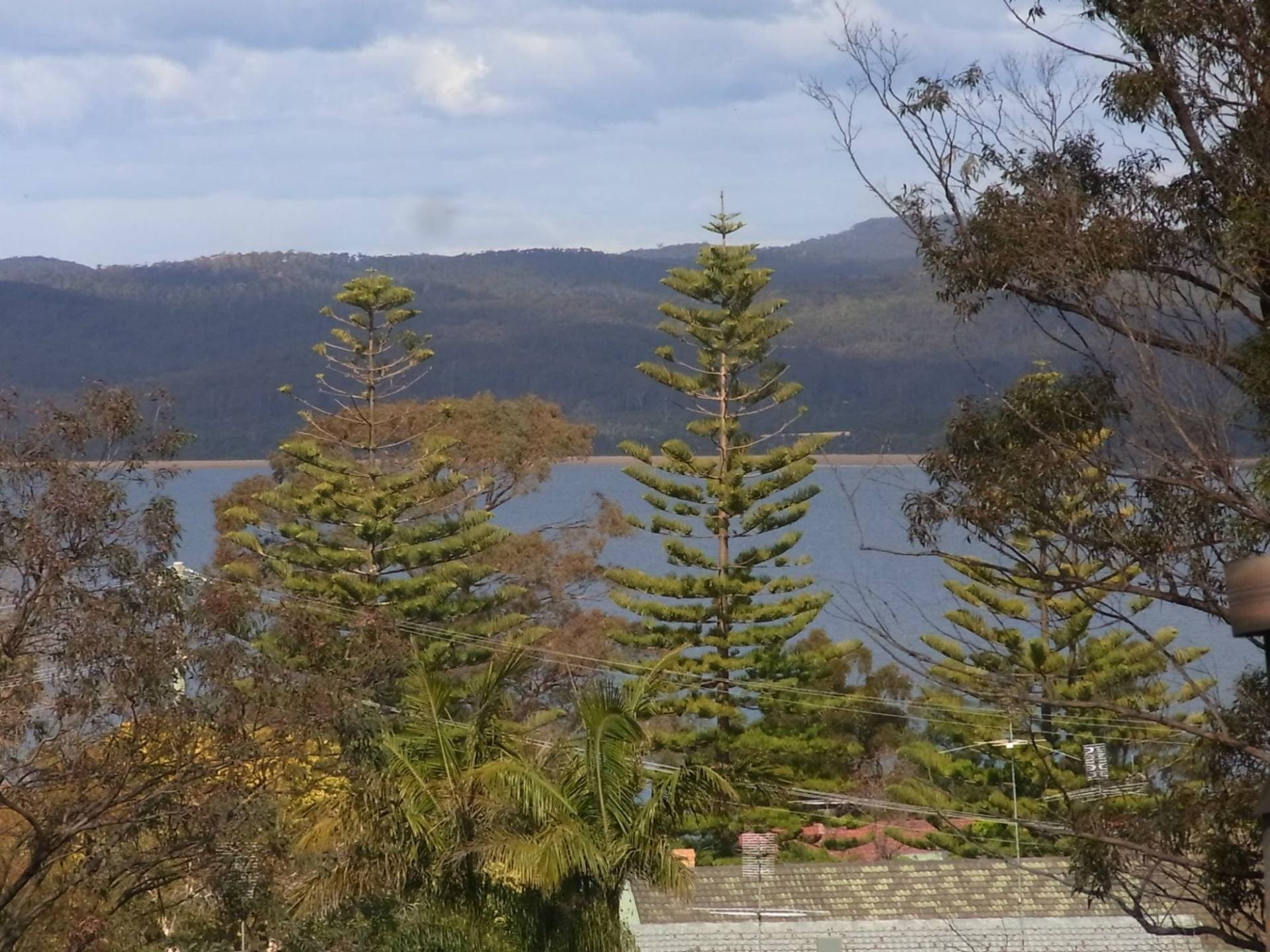 1 Ida Rodd Drive, Eden, Eden - Thumbnail 2