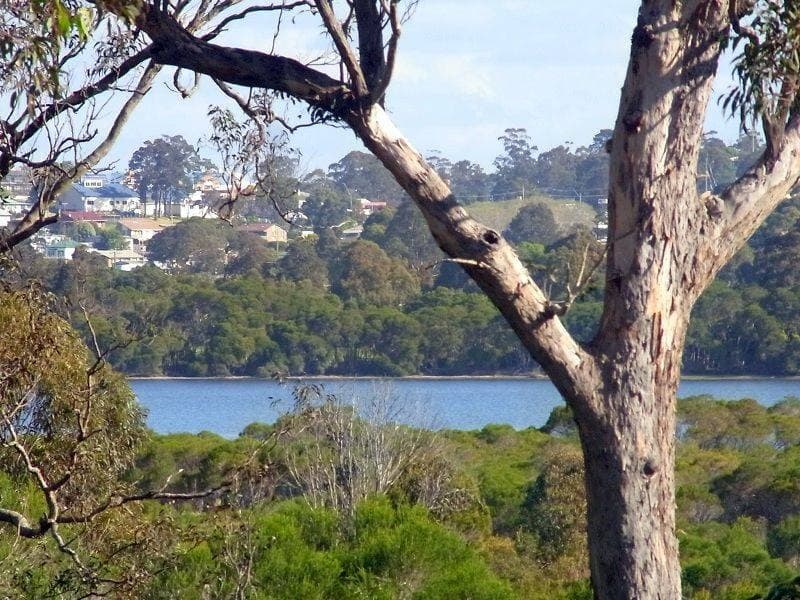 Lot 108 Kingfisher Circuit, Eden, Eden - Thumbnail 5
