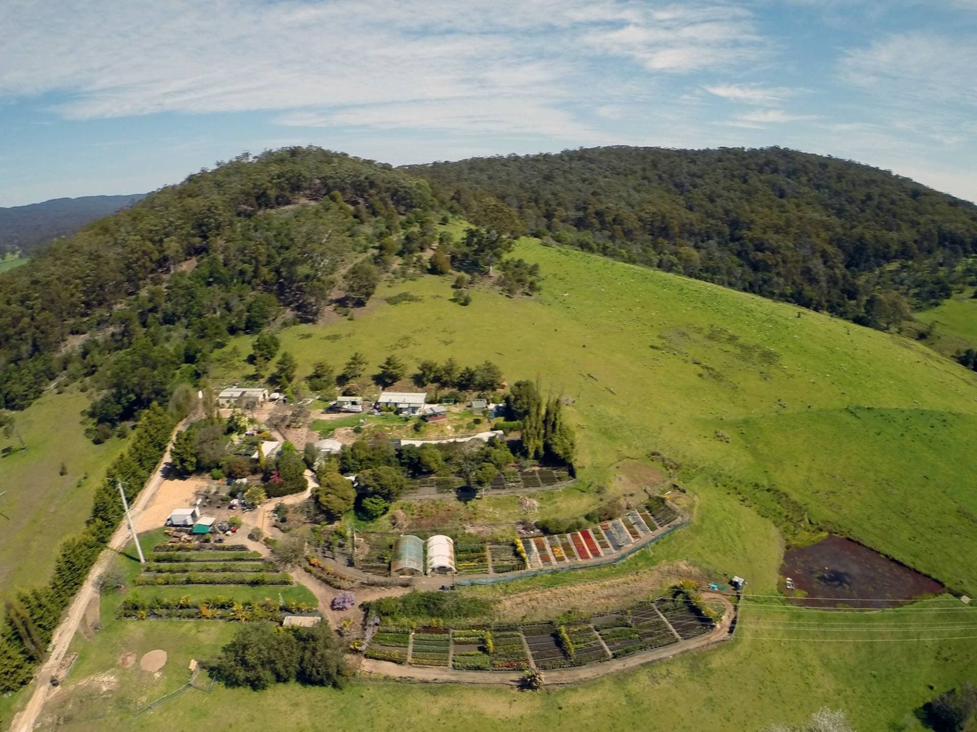 3860 Princes Highway, Pambula, Pambula - Image 1