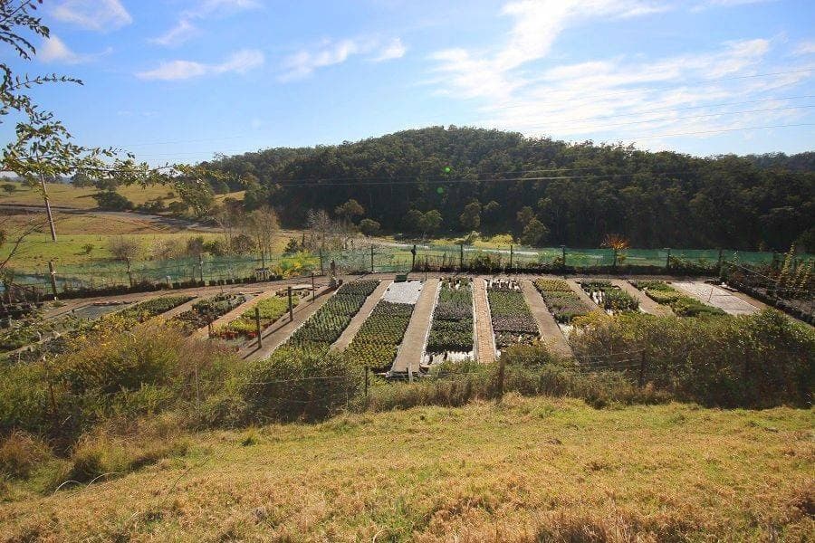 3860 Princes Highway, Pambula, Pambula - Thumbnail 5