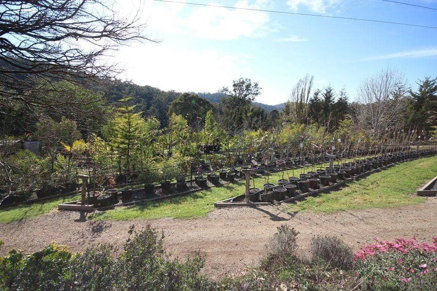 3860 Princes Highway, Pambula, Pambula - Thumbnail 6