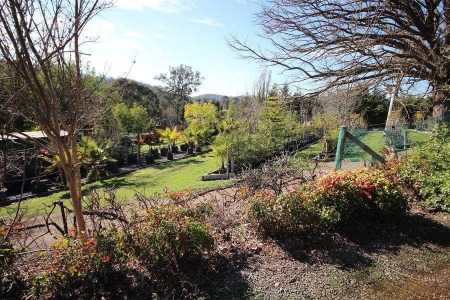 3860 Princes Highway, Pambula, Pambula - Thumbnail 7