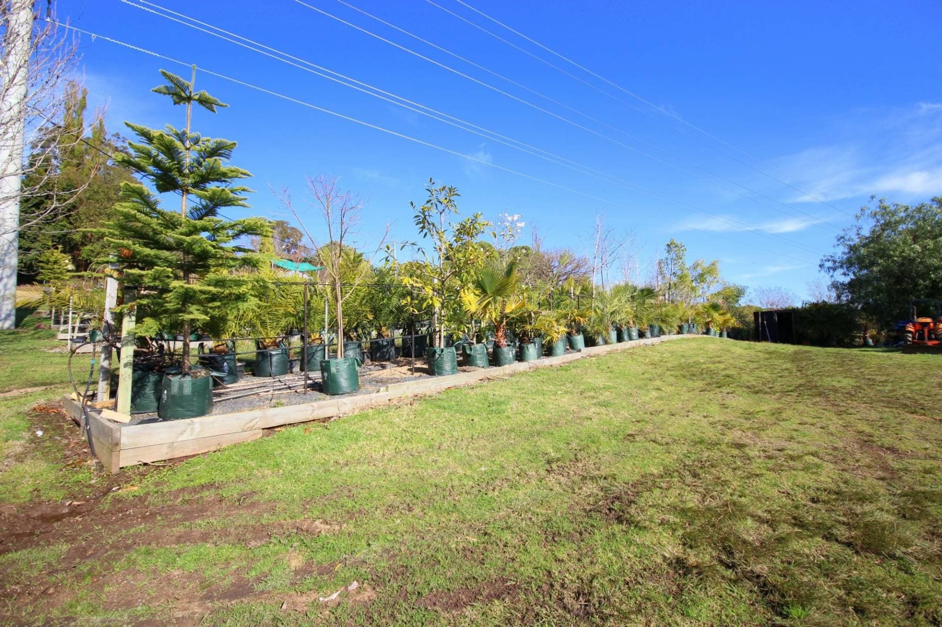 3860 Princes Highway, Pambula, Pambula - Thumbnail 8