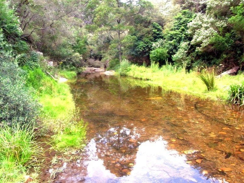 145 Ruggs Road, Nethercote, Nethercote - Thumbnail 2