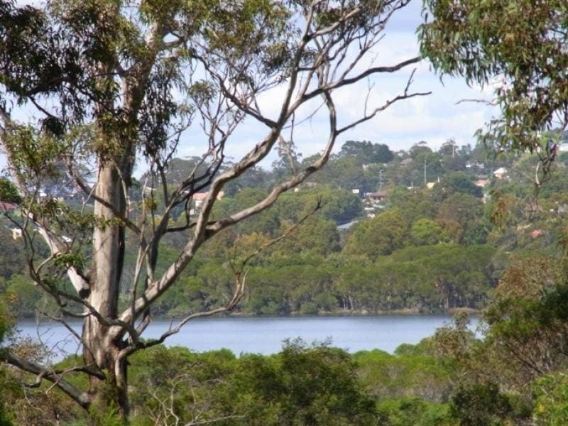 Lot 104 Kingfisher Circuit, Eden, Eden - Thumbnail 4