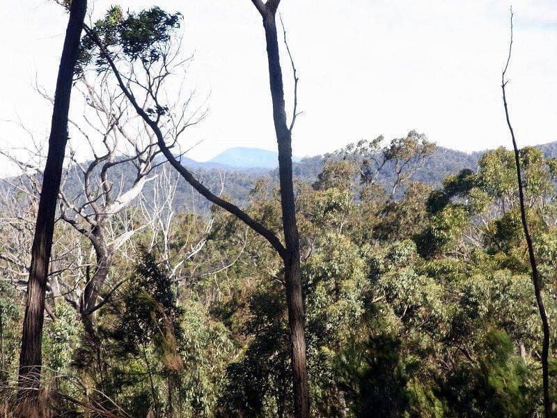 Lot 81 Oaklands Road, Pambula, Pambula - Thumbnail 4