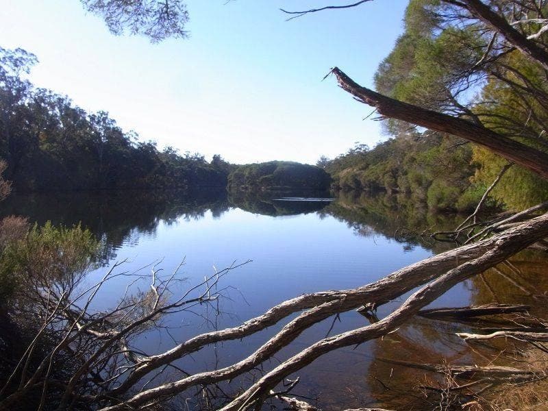 Proposed Lot 1 Ivor Jones Drive, Wonboyn, Wonboyn - Image 1