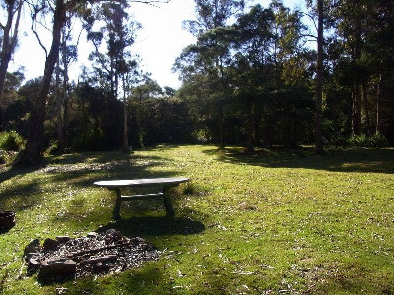 Proposed Lot 1 Ivor Jones Drive, Wonboyn, Wonboyn - Thumbnail 2