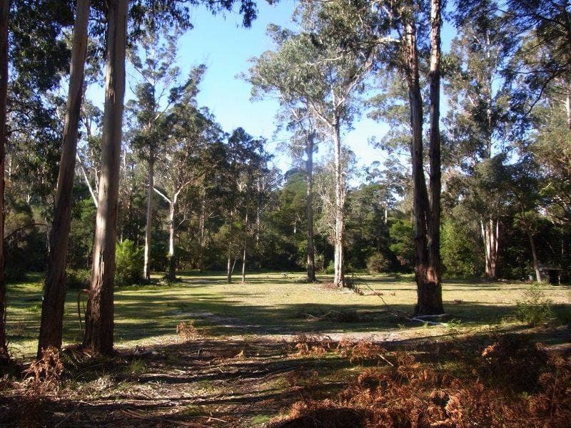 Proposed Lot 1 Ivor Jones Drive, Wonboyn, Wonboyn - Thumbnail 3
