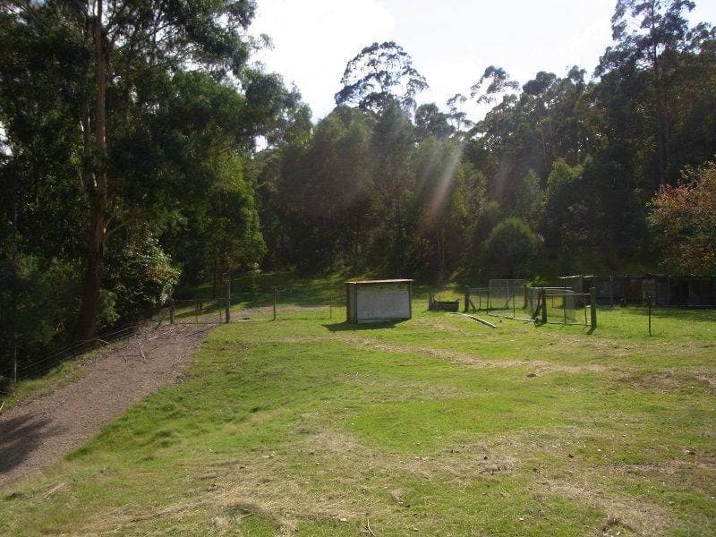 474 Towamba Road, Nullica, Nullica - Thumbnail 3