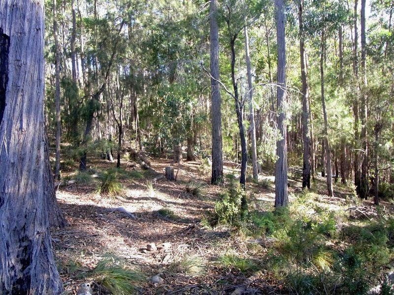 Lot 84 Oaklands Road, Pambula, Pambula - Thumbnail 2