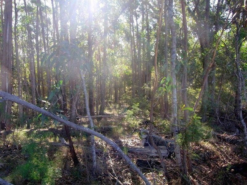 Lot 84 Oaklands Road, Pambula, Pambula - Thumbnail 4