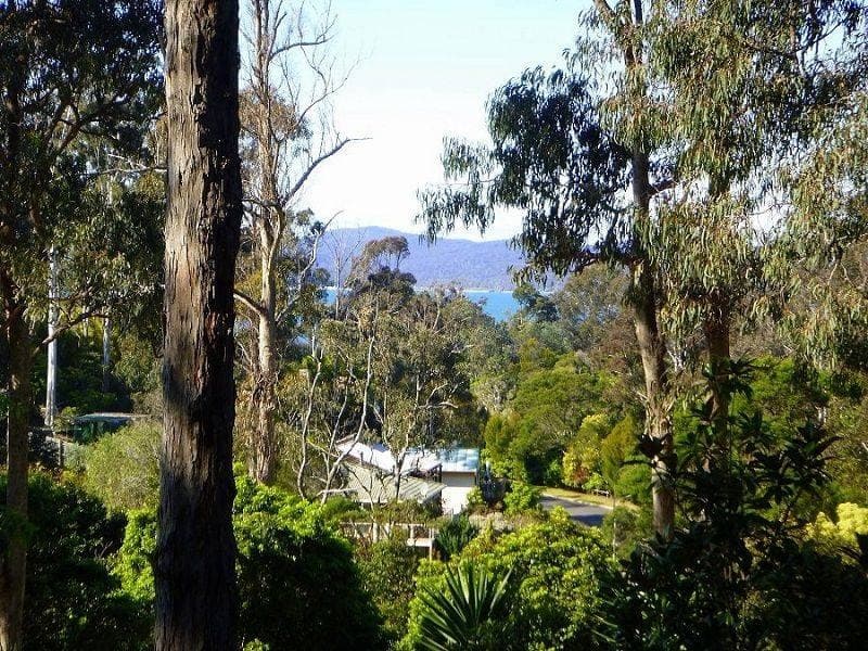 Lot 76 77 Ida Rodd Drive, Eden, Eden - Thumbnail 4