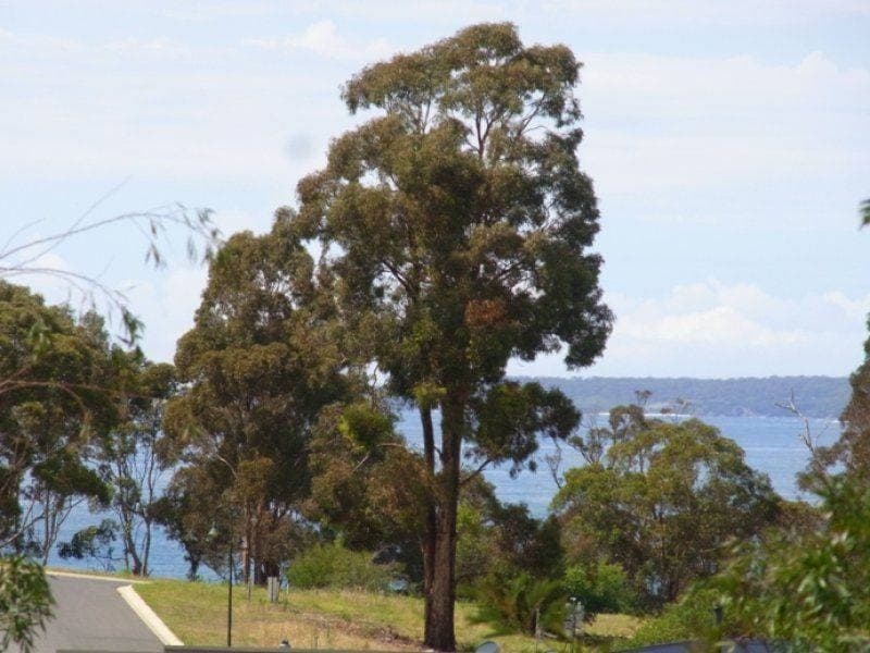 Lot 413 Marlin Avenue, Eden, Eden - Thumbnail 2