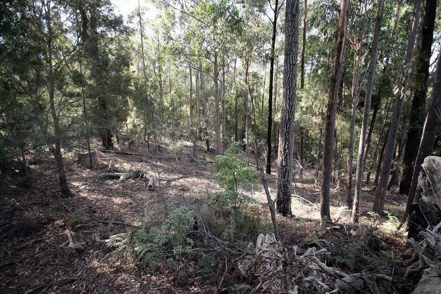 Lot 25 Kiaka Road, Nethercote, Nethercote - Thumbnail 3