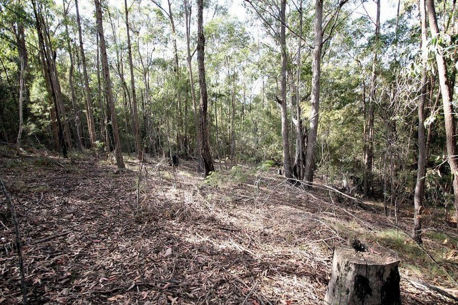 Lot 25 Kiaka Road, Nethercote, Nethercote - Thumbnail 4