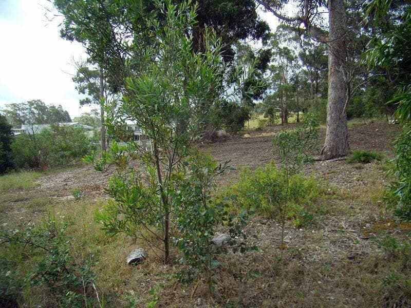 Lot 306 Trumpeter Avenue, Eden, Eden - Thumbnail 4
