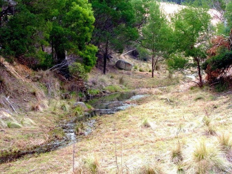 398 New Buildings Road, Wyndham, Wyndham - Thumbnail 4