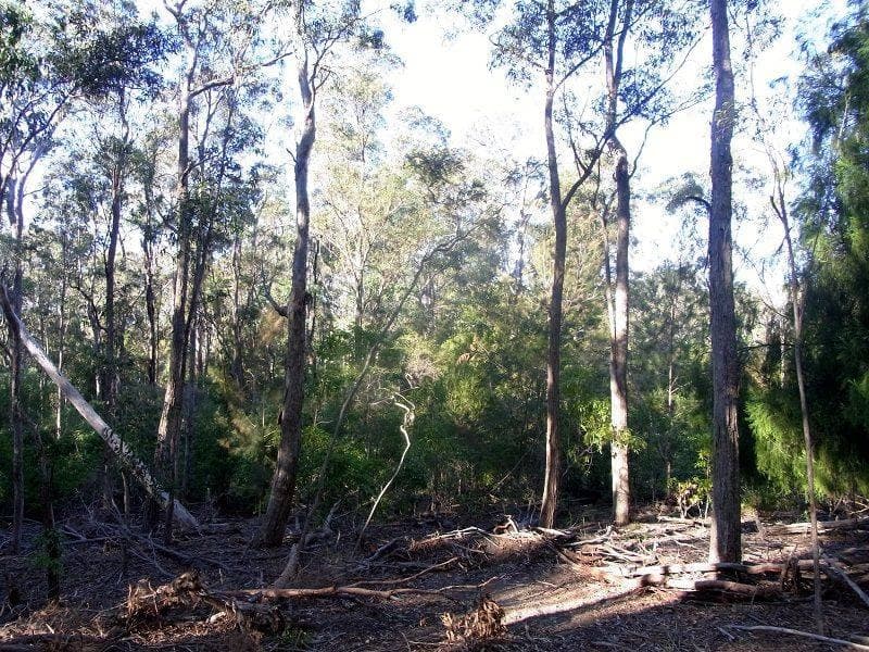 Lot 89 Oaklands Road, Pambula, Pambula - Thumbnail 2