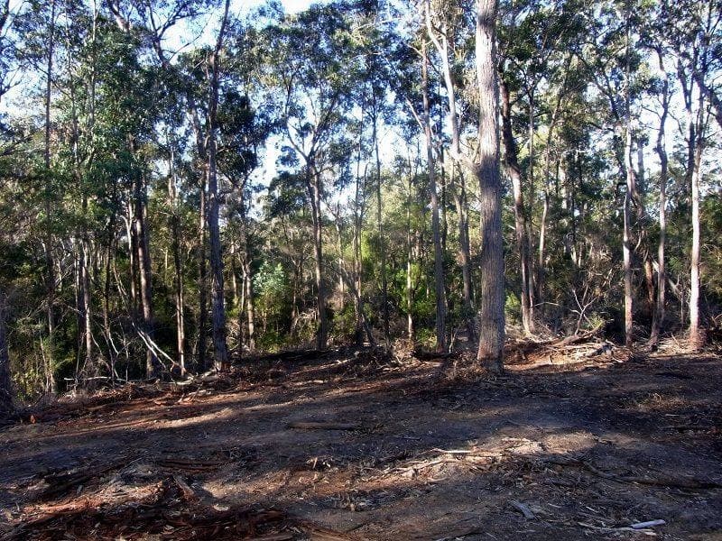 Lot 89 Oaklands Road, Pambula, Pambula - Thumbnail 3