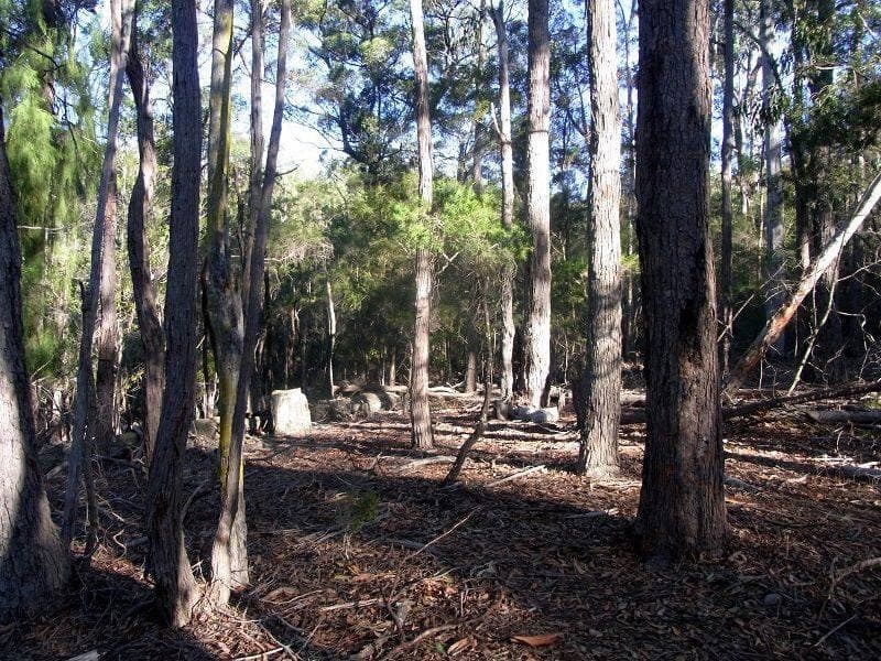 Lot 89 Oaklands Road, Pambula, Pambula - Thumbnail 4