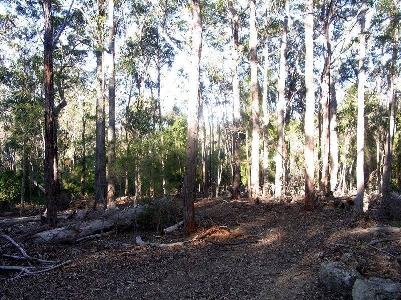Lot 89 Oaklands Road, Pambula, Pambula - Thumbnail 5