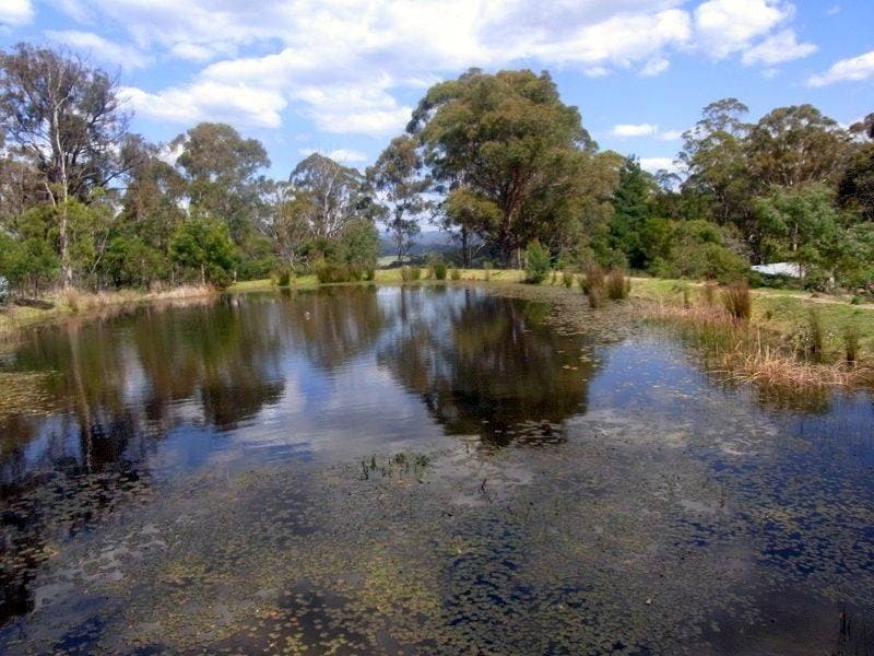 360 Myrtle Mountain Road, Wyndham, Wyndham - Thumbnail 6