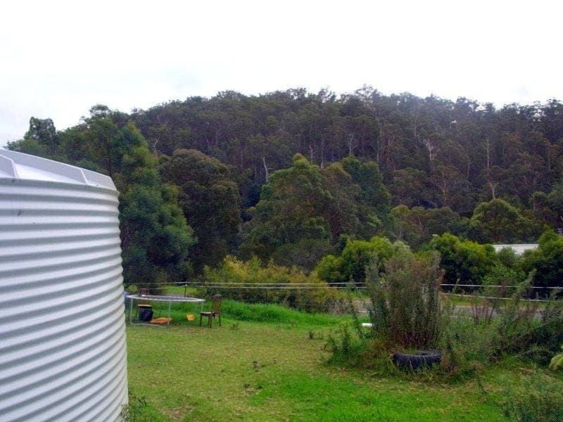 259 Mt Darragh Road, South Pambula, South Pambula - Thumbnail 4