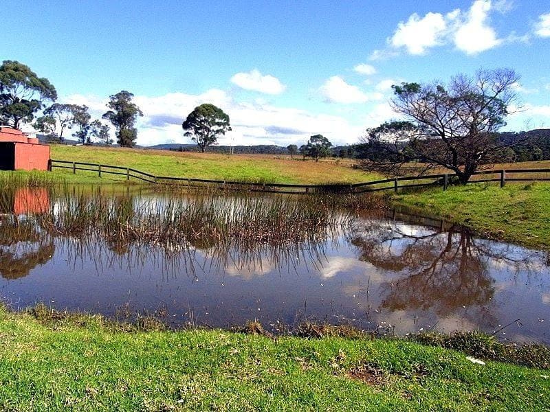 561 Back Creek Road, Lochiel, Lochiel - Thumbnail 2
