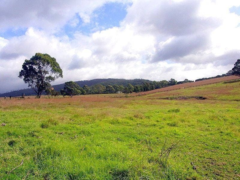 561 Back Creek Road, Lochiel, Lochiel - Thumbnail 5