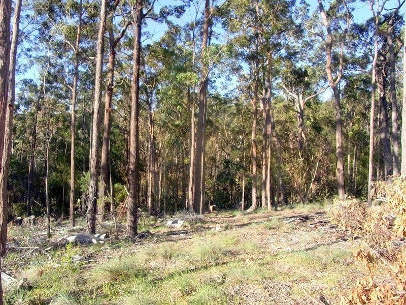 Lot 88 Oaklands Road, Pambula, Pambula - Image 1