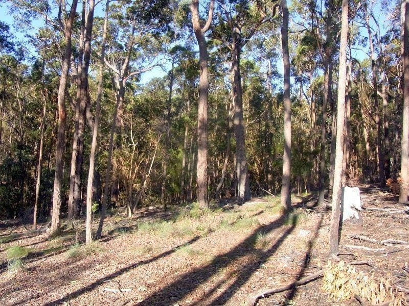 Lot 88 Oaklands Road, Pambula, Pambula - Thumbnail 2