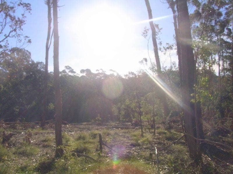 Lot 88 Oaklands Road, Pambula, Pambula - Thumbnail 4