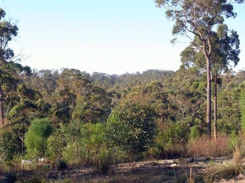 Lot 85 Oaklands Road, Pambula, Pambula - Image 1