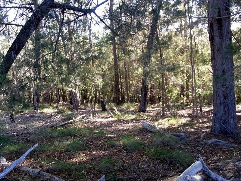 Lot 85 Oaklands Road, Pambula, Pambula - Thumbnail 2