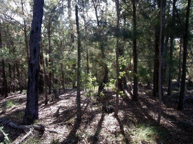 Lot 85 Oaklands Road, Pambula, Pambula - Thumbnail 3
