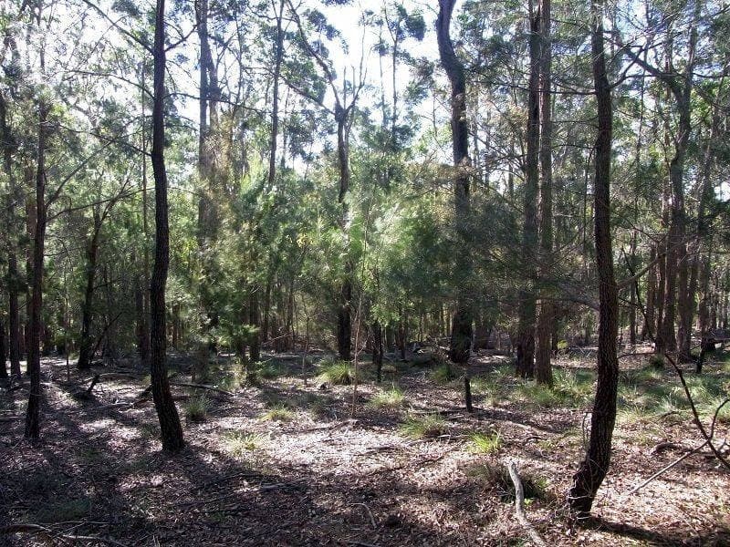 Lot 85 Oaklands Road, Pambula, Pambula - Thumbnail 4